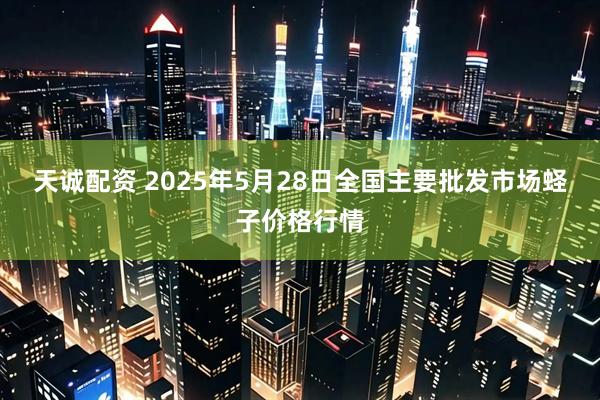 天诚配资 2025年5月28日全国主要批发市场蛏子价格行情