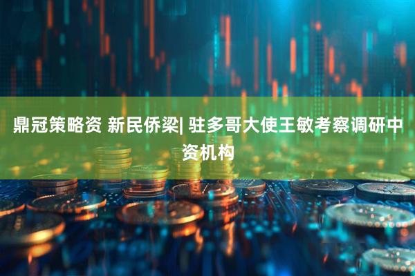 鼎冠策略资 新民侨梁| 驻多哥大使王敏考察调研中资机构