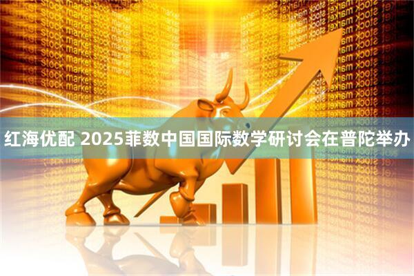 红海优配 2025菲数中国国际数学研讨会在普陀举办