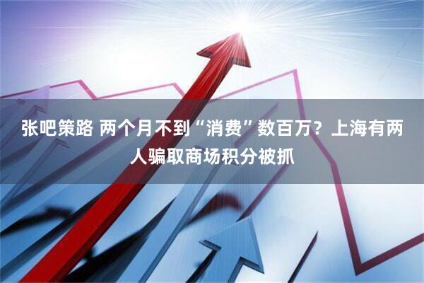 张吧策路 两个月不到“消费”数百万？上海有两人骗取商场积分被抓