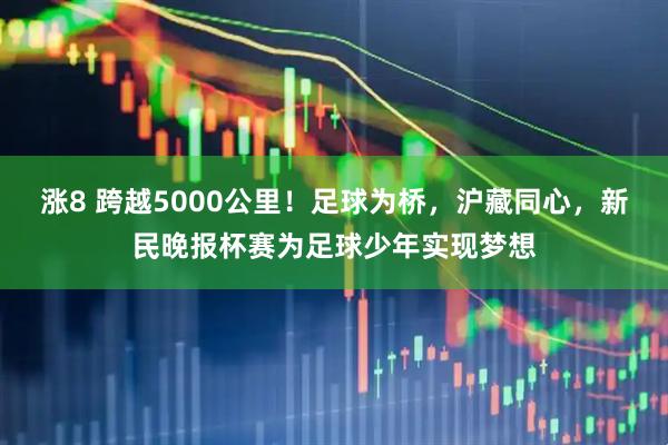 涨8 跨越5000公里！足球为桥，沪藏同心，新民晚报杯赛为足球少年实现梦想