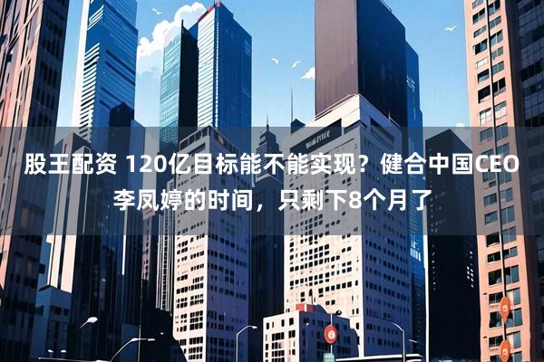 股王配资 120亿目标能不能实现？健合中国CEO李凤婷的时间，只剩下8个月了