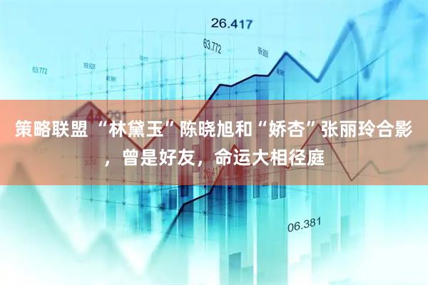 策略联盟 “林黛玉”陈晓旭和“娇杏”张丽玲合影，曾是好友，命运大相径庭