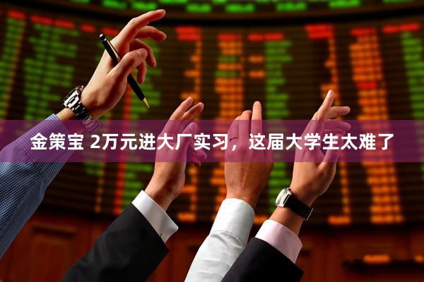 金策宝 2万元进大厂实习，这届大学生太难了