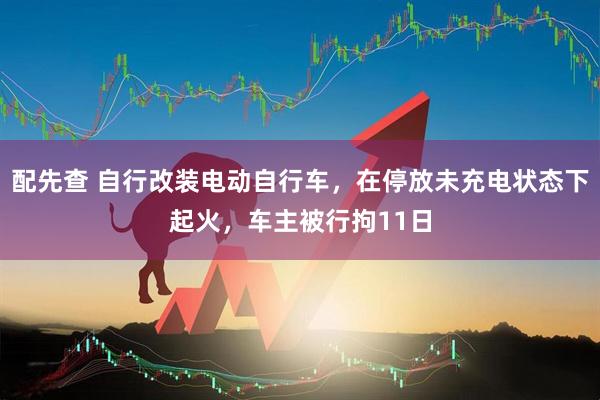 配先查 自行改装电动自行车，在停放未充电状态下起火，车主被行拘11日