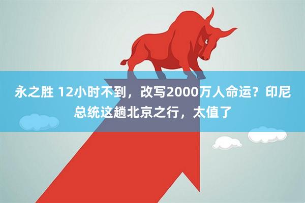 永之胜 12小时不到，改写2000万人命运？印尼总统这趟北京之行，太值了